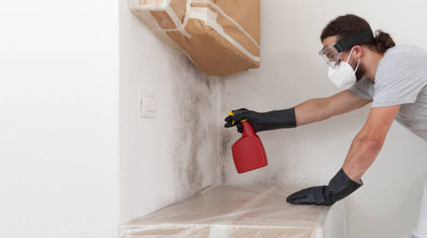 Professional Attic Mold Remediation technician working in Warrington, PA
