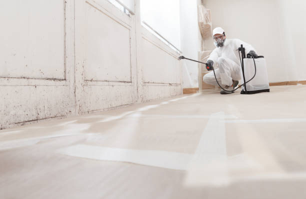 24/7 Emergency Attic Mold Remediation experts in Warrington, PA