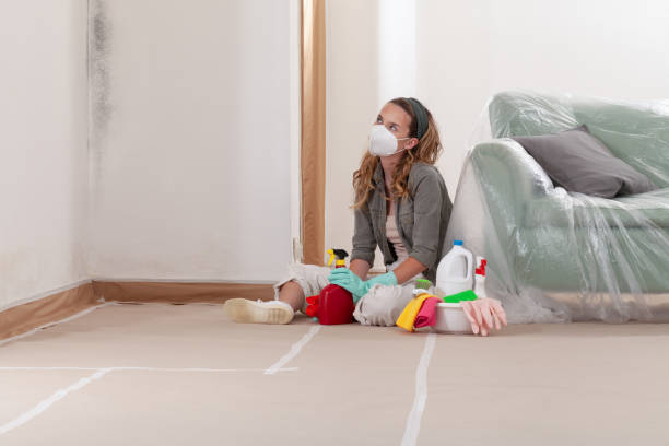 Reliable Attic Mold Remediation contractor in Warrington, PA by Car Mold Remediation