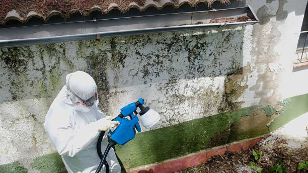 Top rated local Attic Mold Remediation specialists in Warrington, PA